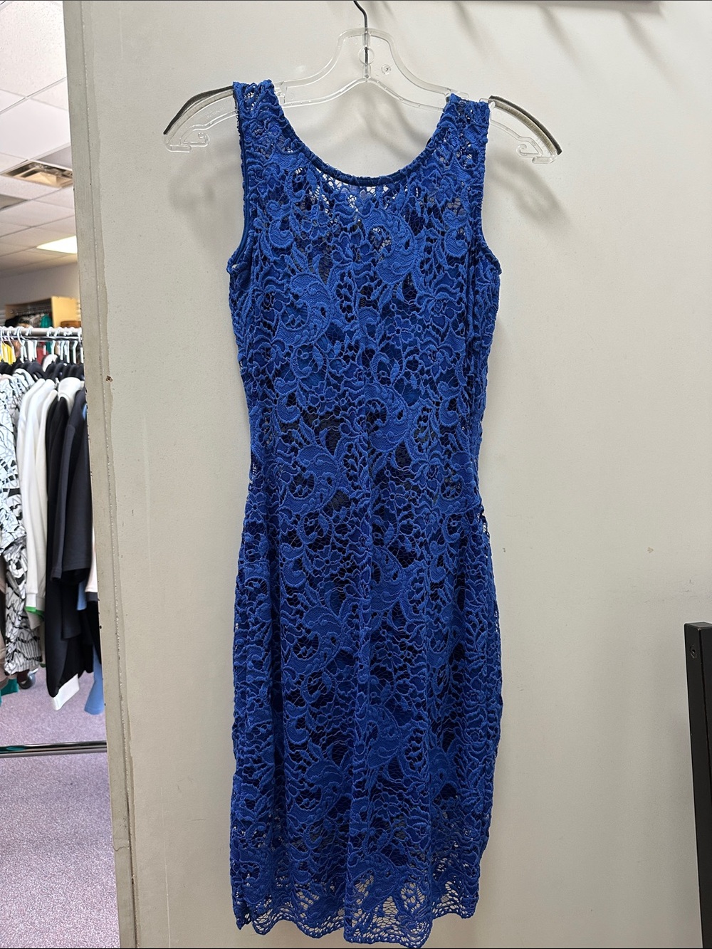 Blue Lace Sleeveless Sheath Dress